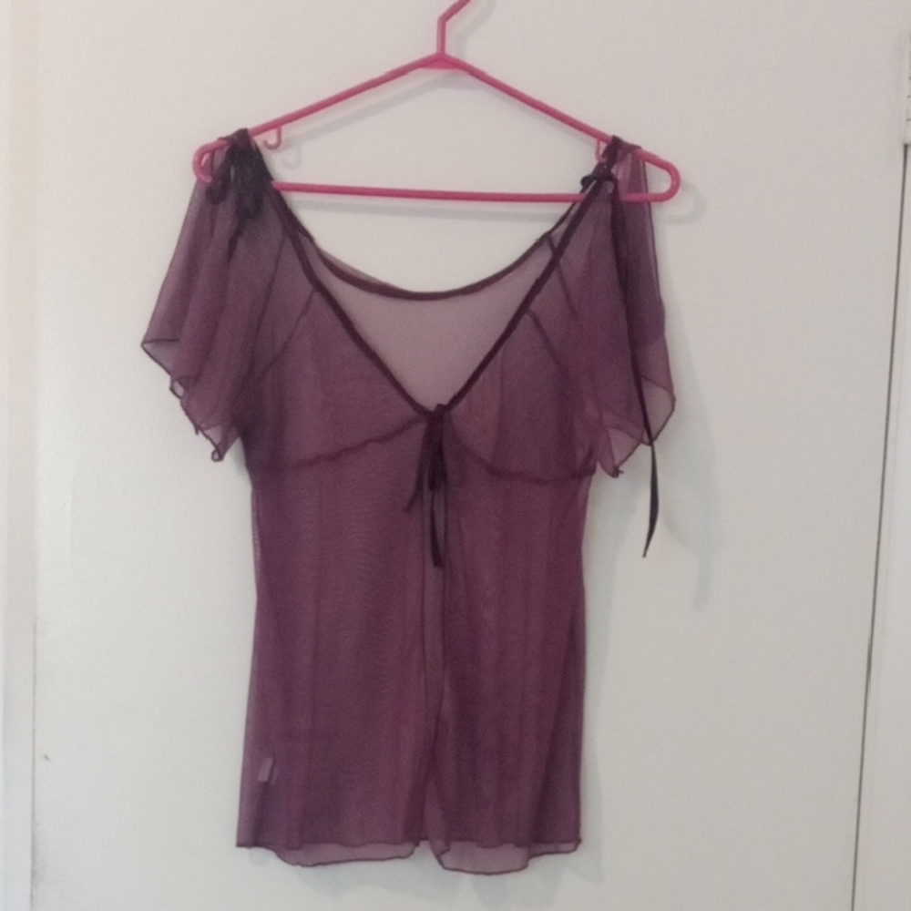 Chic Sheer Plum Top